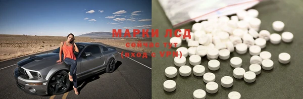 PSILOCYBIN Краснослободск