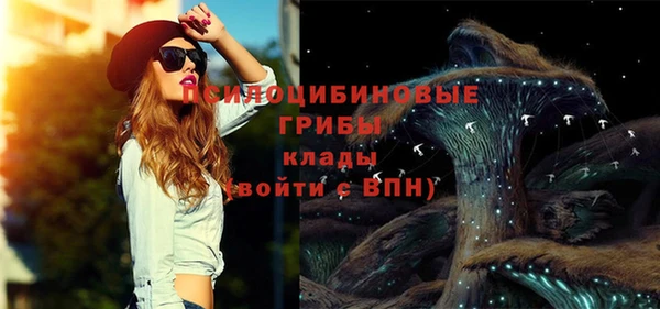 ECSTASY Корсаков