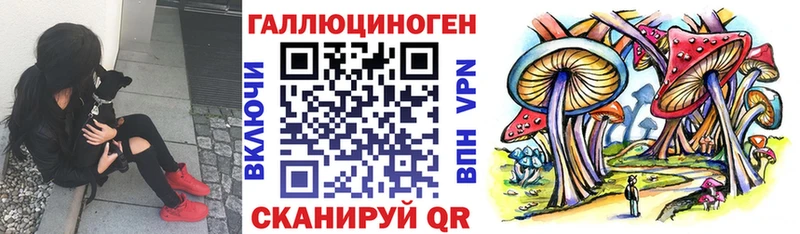 Купить  Комсомольск-на-Амуре  Псилоцибиновые грибы MAGIC MUSHROOMS 